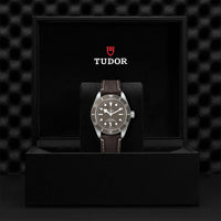 TUDOR Black Bay Fifty-Eight M79010SG-0001