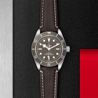TUDOR Black Bay Fifty-Eight M79010SG-0001