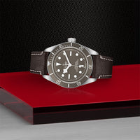 TUDOR Black Bay Fifty-Eight M79010SG-0001