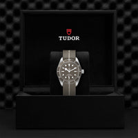 TUDOR Black Bay Fifty-Eight M79010SG-0002