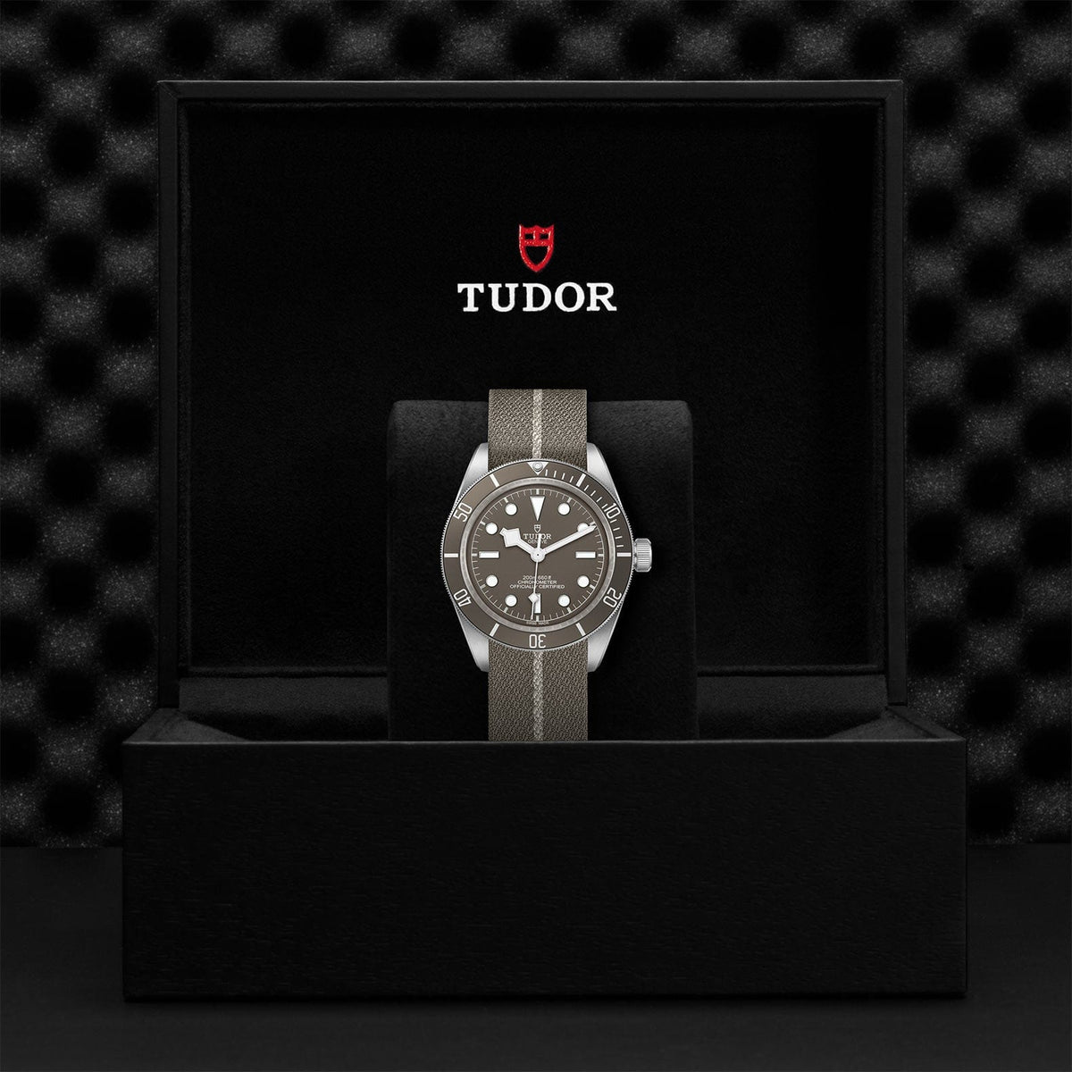 TUDOR Black Bay Fifty-Eight M79010SG-0002