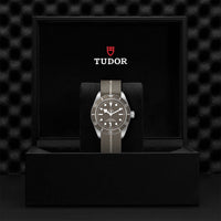 TUDOR Black Bay Fifty-Eight M79010SG-0002