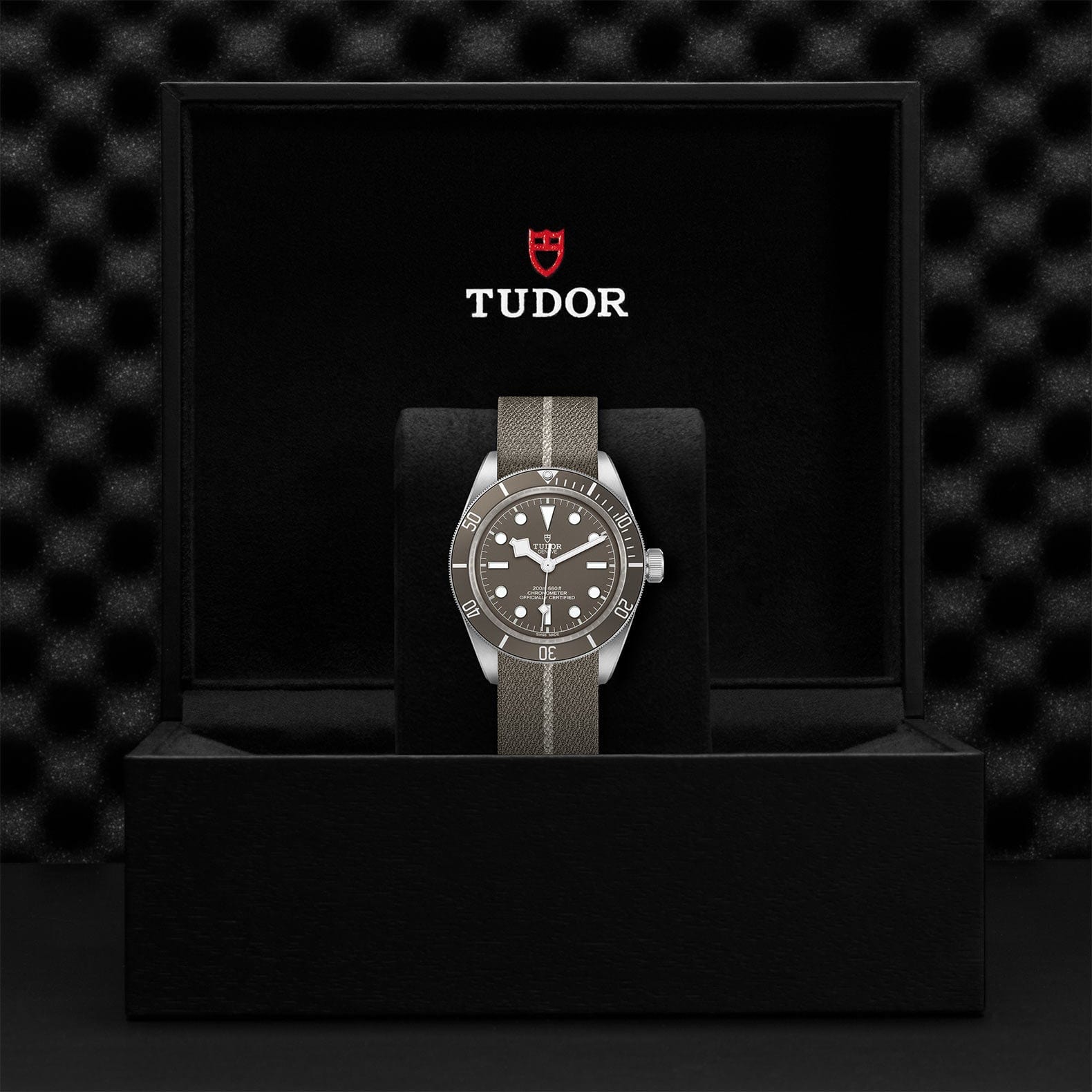 TUDOR Black Bay Fifty-Eight M79010SG-0002