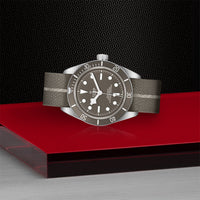 TUDOR Black Bay Fifty-Eight M79010SG-0002