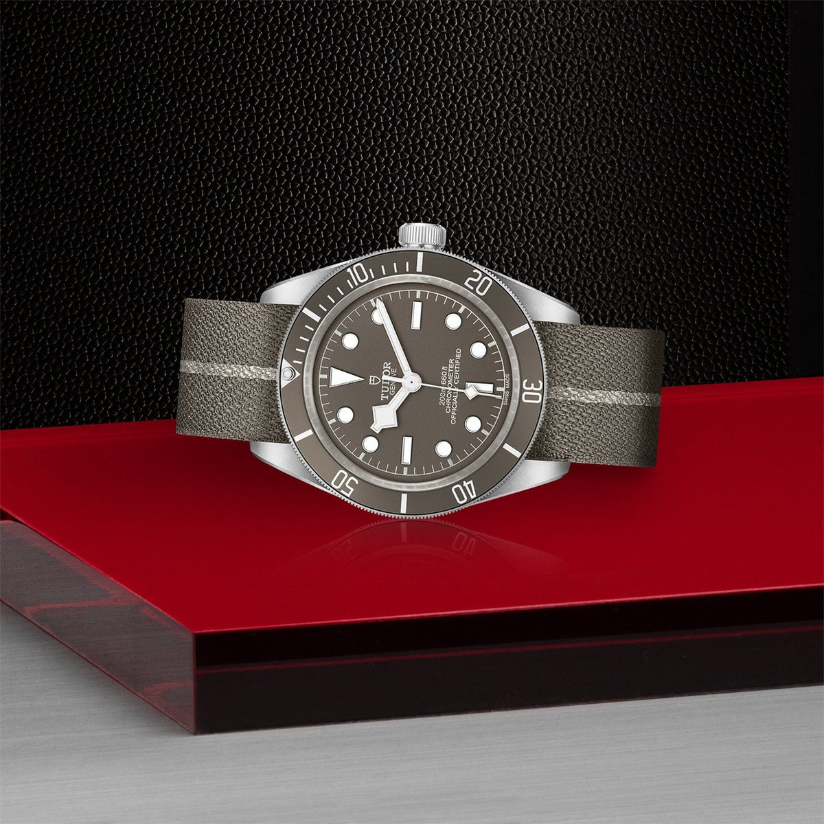 TUDOR Black Bay Fifty-Eight M79010SG-0002