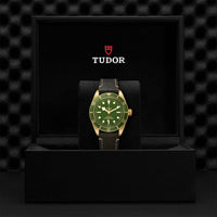 TUDOR Black Bay Fifty-Eight Yellow Gold M79018V-0001