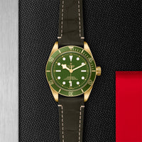 TUDOR Black Bay Fifty-Eight Yellow Gold M79018V-0001