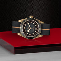 Black Bay Bronze_3