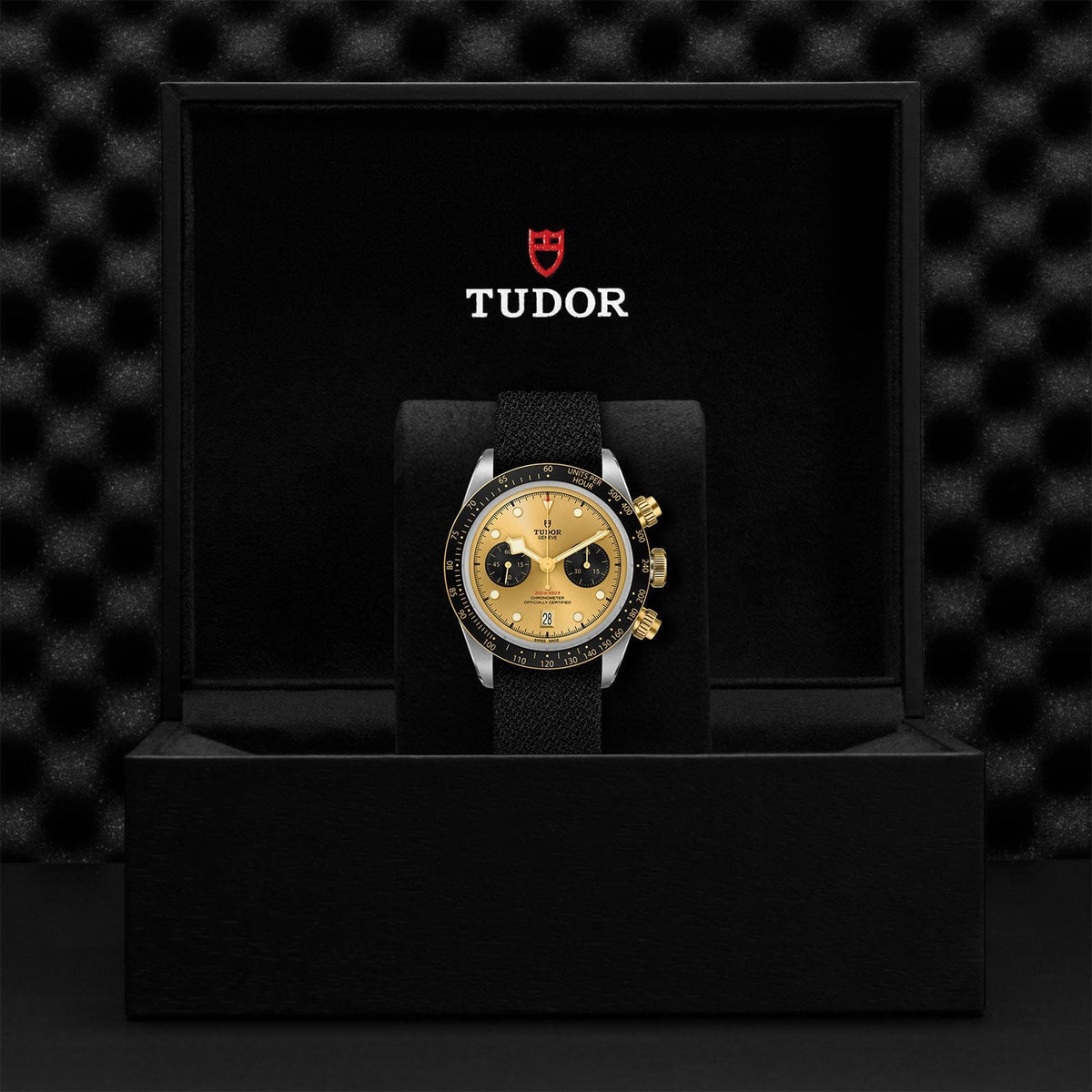 TUDOR Black Bay Chrono S&G M79363N-0006