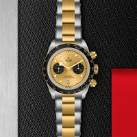 TUDOR Black Bay Chrono S&G M79363N-0007