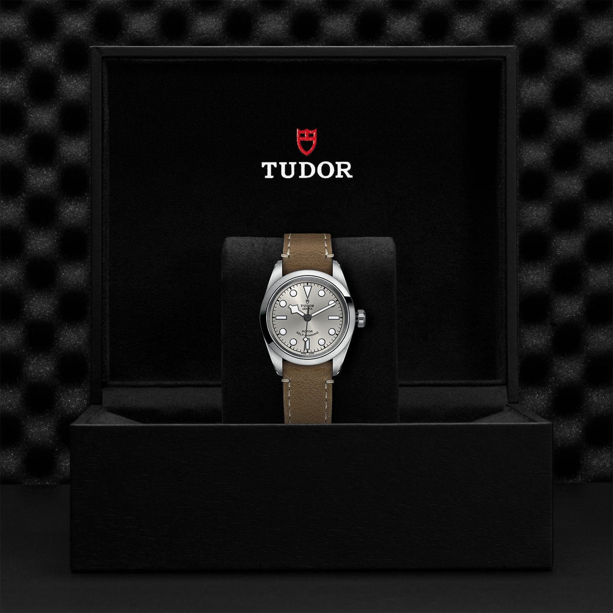 TUDOR Black Bay 32 Steel M79580-0009