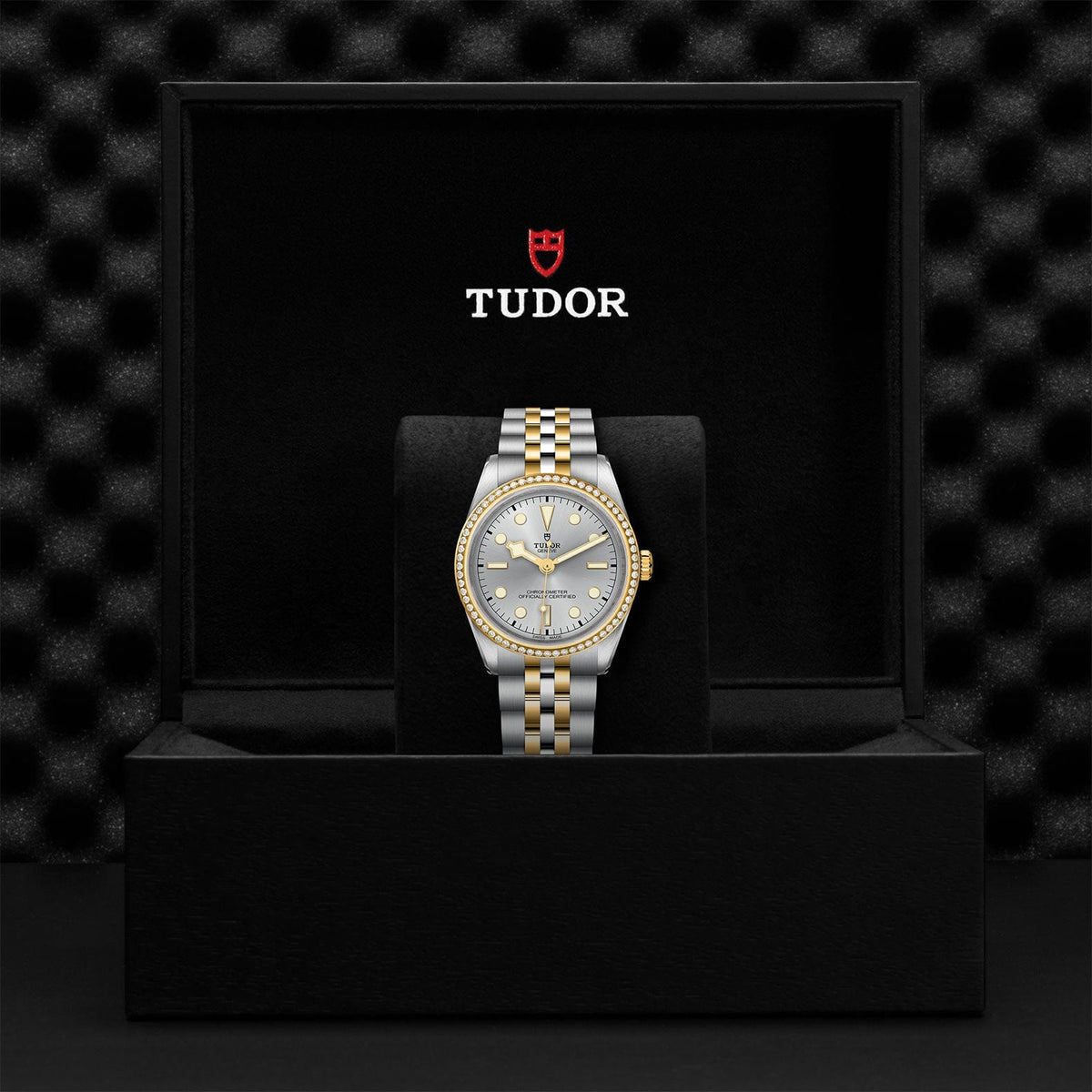 TUDOR Black Bay 36 S&G M79653-0006