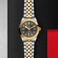 TUDOR Black Bay 39 S&G M79663-0003