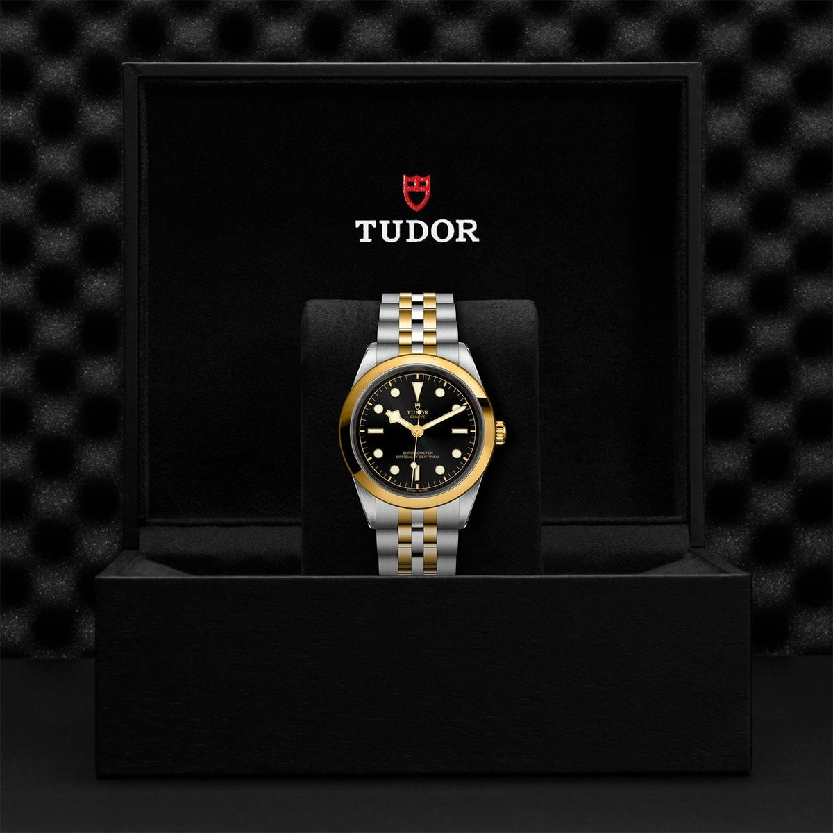 TUDOR Black Bay 41 S&G M79683-0001