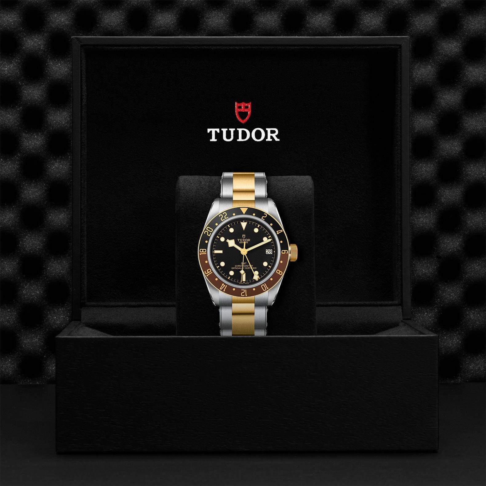 TUDOR Black Bay GMT S&G M79833MN-0001