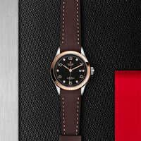 TUDOR 1926 Steel & Gold M91351-0008