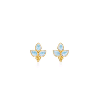 18K Yellow Gold Moonstone Earrings