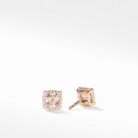 Petite Chatelaine® Pavé Bezel Stud Earrings in 18K Rose Gold with Morganite