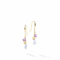 Paradise 18K Yellow Gold Mix Stone Drop Earrings