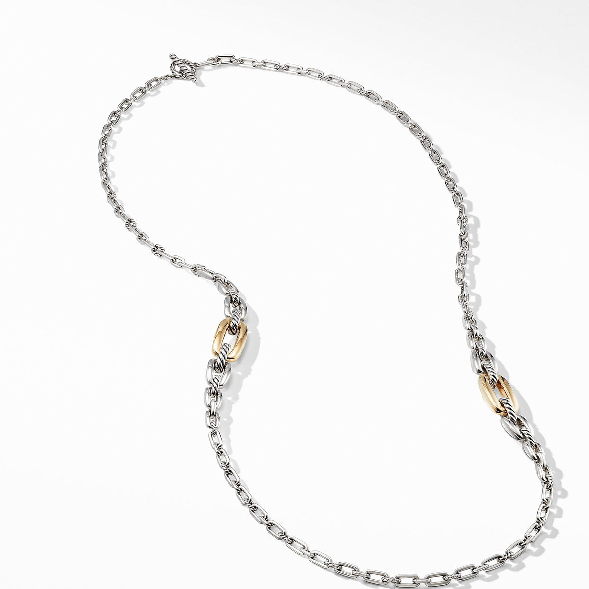 Wellesley Link Long Necklace with 18K Gold