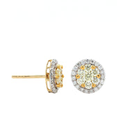 18K Yellow Gold Fancy Diamond Cluster Stud Earrings