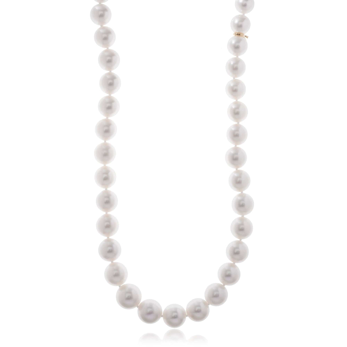 White South Sea Pearl Necklace