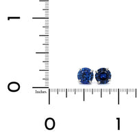 Platinum Round Sapphire Stud Earrings