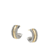 Hoop Earrings with Gold