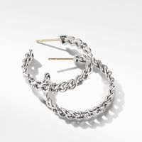 Belmont Curb Link Medium Hoop Earrings