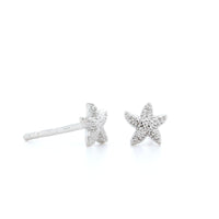 Sterling Silver 5.5mm Starfish Stud Earrings