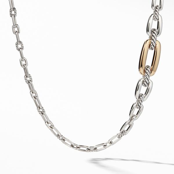 Wellesley Link Long Necklace with 18K Gold