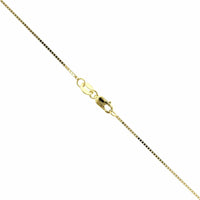 14K Yellow Gold Box Chain