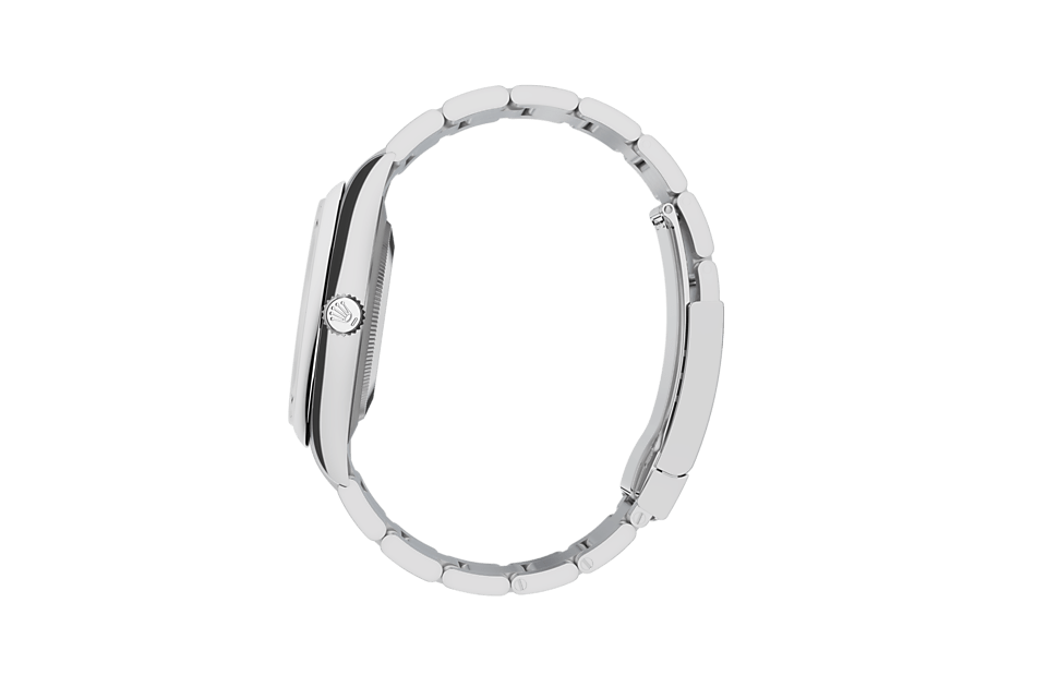 Oyster Perpetual 41, Oyster, 41 mm, Oystersteel Specifications